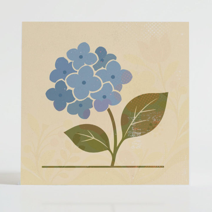 Specimen No. 01: Hydrangea