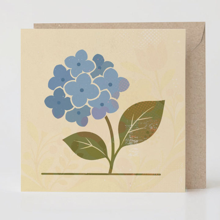Specimen No. 01: Hydrangea