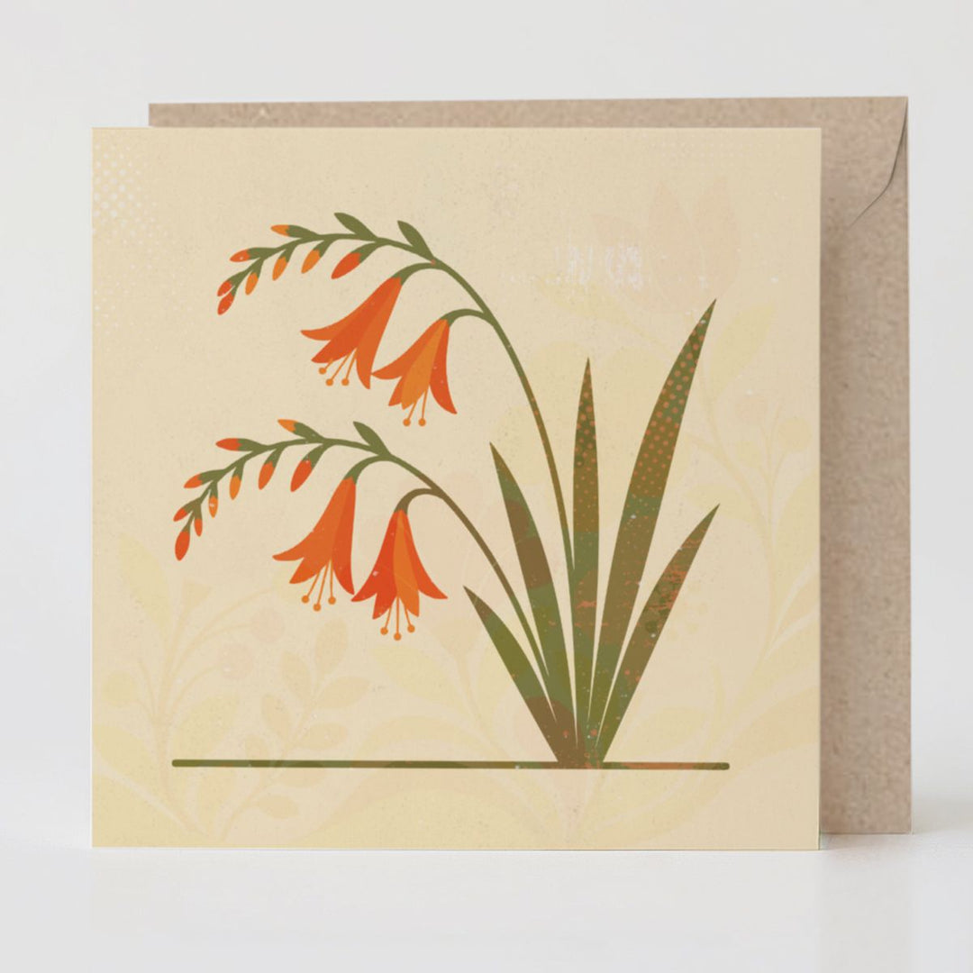 Specimen No. 04: Crocosmia