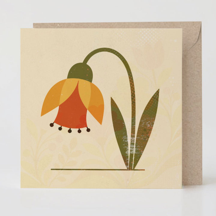 Specimen No. 06: Daffodil