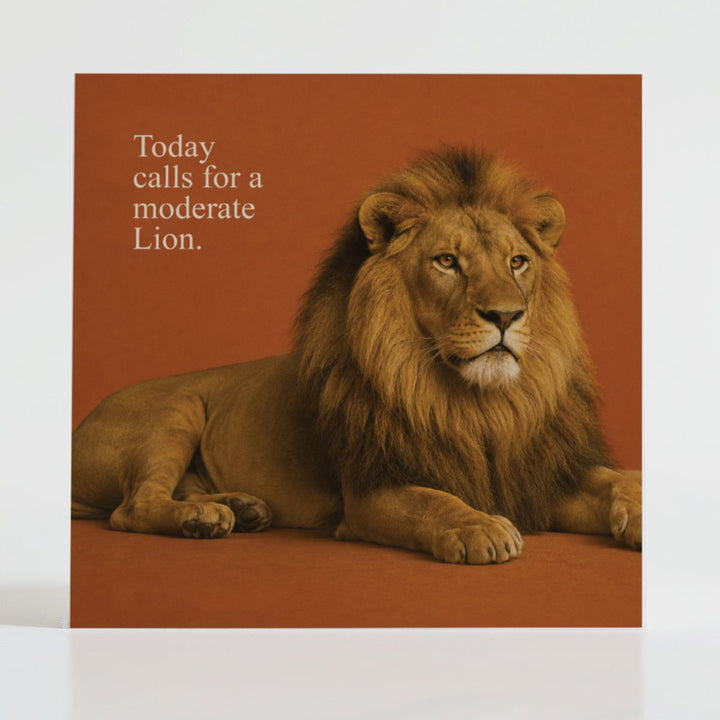 Moderate Lion