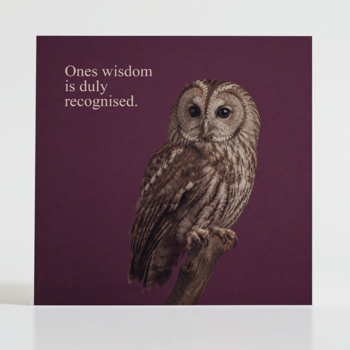Wisdom Recognised