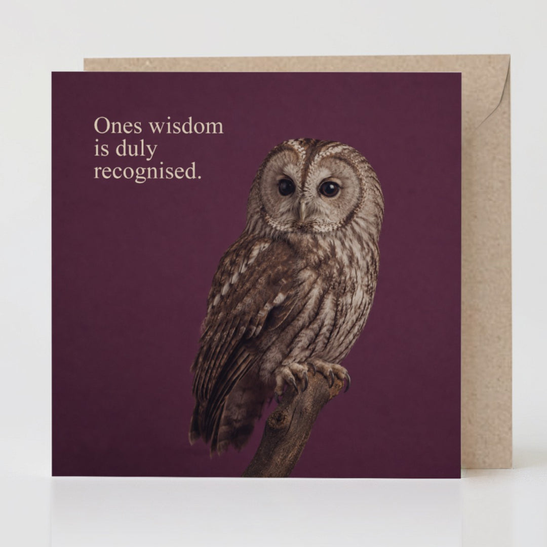 Wisdom Recognised